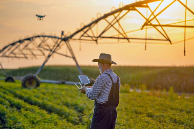 Old farmer with hat holding remote control for drone flying above soybean field with irrigation system in summer